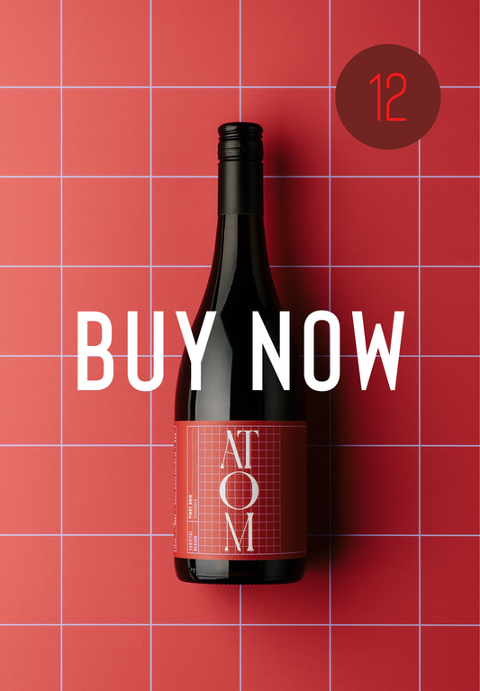 2022 – Pinot Noir – $40 each – case of 12