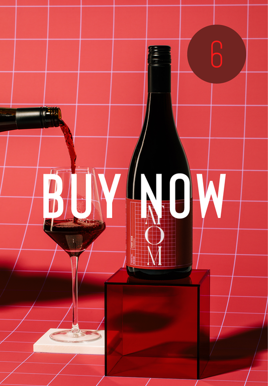 2022 – Pinot Noir – $40 each – case of 6